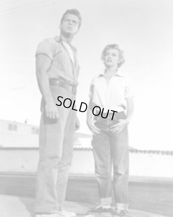 画像9: LADIES / Freddies of Pinewood Clash By Night Jeans