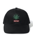 画像1: WACKO MARIA / HIGHTIMES / 6 PANEL CAP (1)