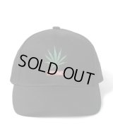 WACKO MARIA / HIGHTIMES / 6 PANEL CAP