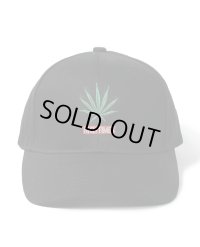 WACKO MARIA / HIGHTIMES / 6 PANEL CAP