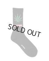 WACKO MARIA / HIGHTIMES / SKATER SOCKS