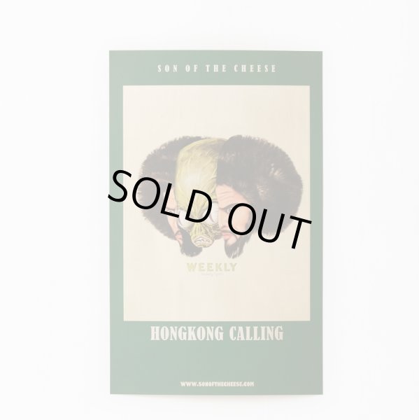 画像6: SON OF THE CHEESE MOON PATROL STICKER SET (6)