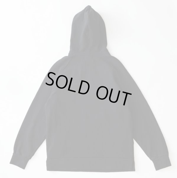 画像2: SON OF THE CHEESE MOON PATROL HOODIE (2)