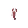 画像1: COLLECTIF / LOBSTER TOM BROOCH (1)